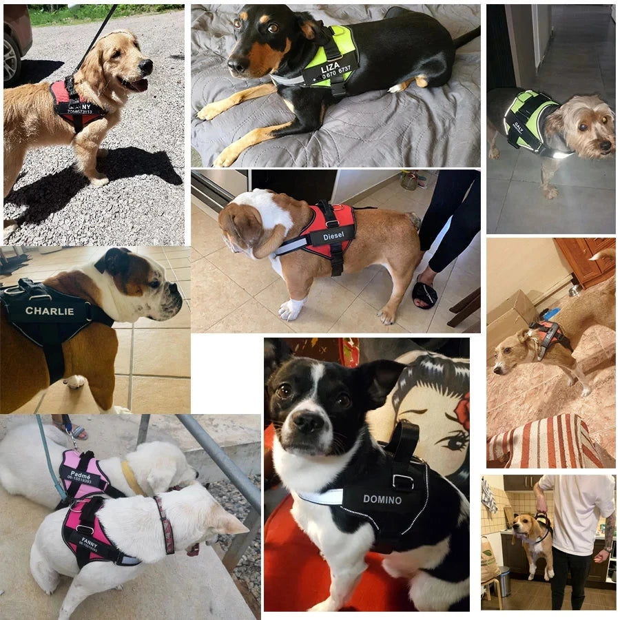 NO PULL Reflective Dog Harness