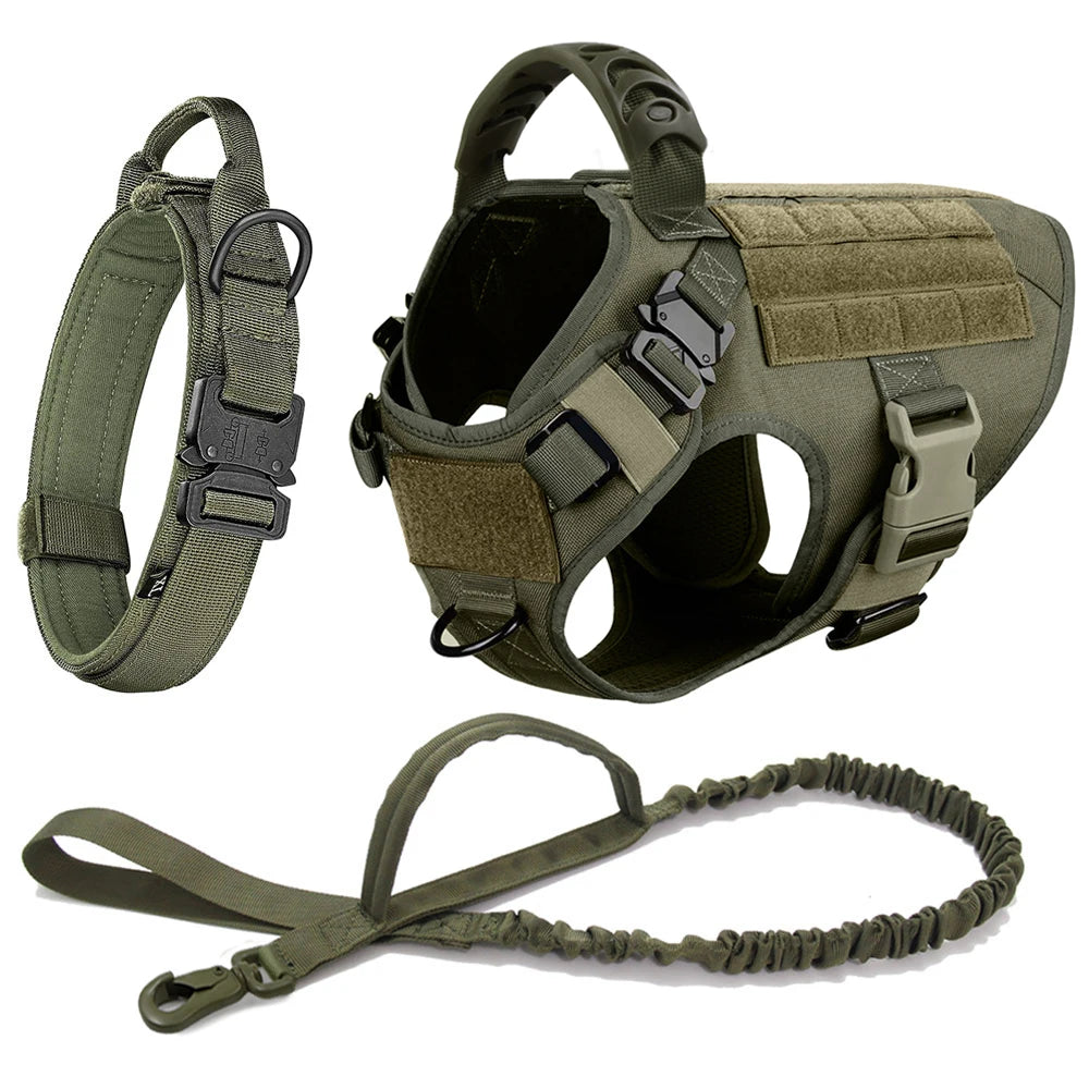 Large Dog Harness /Leash Set