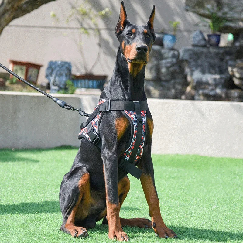 Personalized Tactical Dog Harness