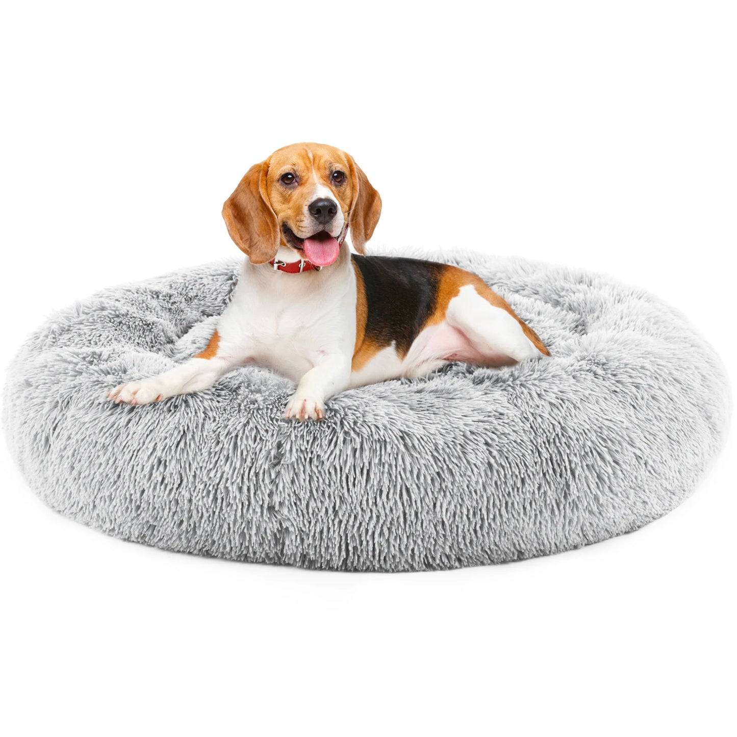 Calming Dog Bed for Small & Medium Dogs