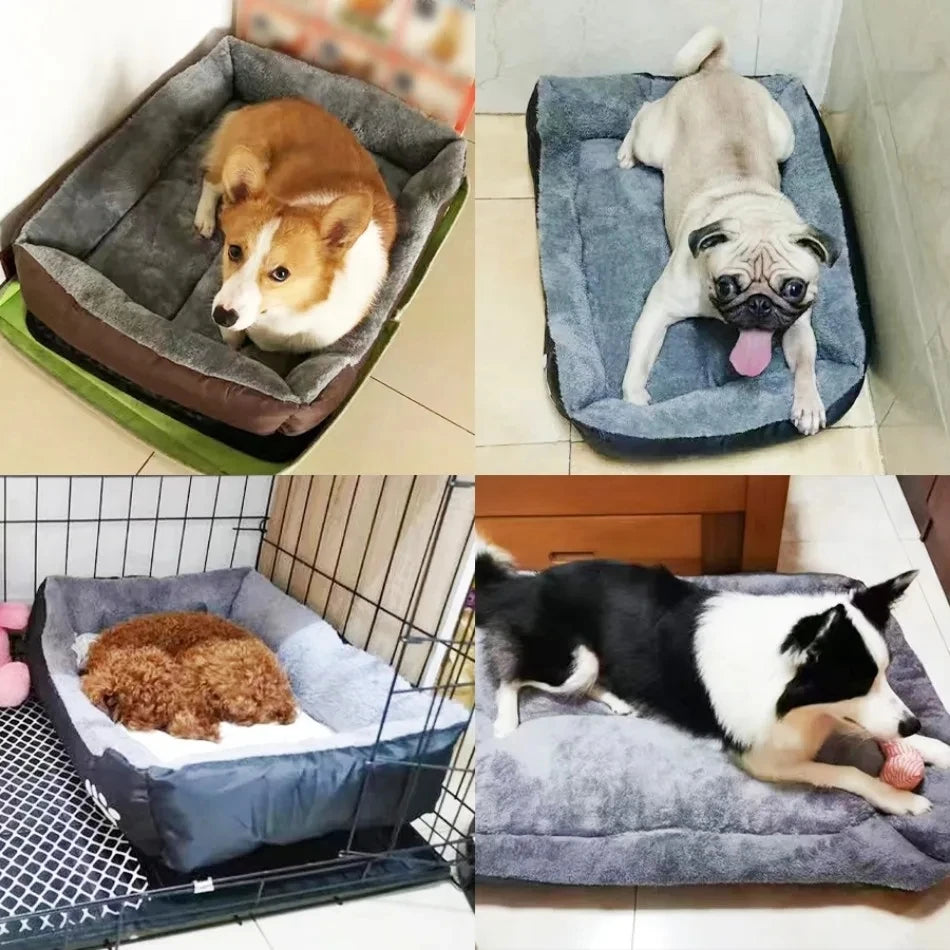 Medium Washable, All-season Pet Sofa Bed