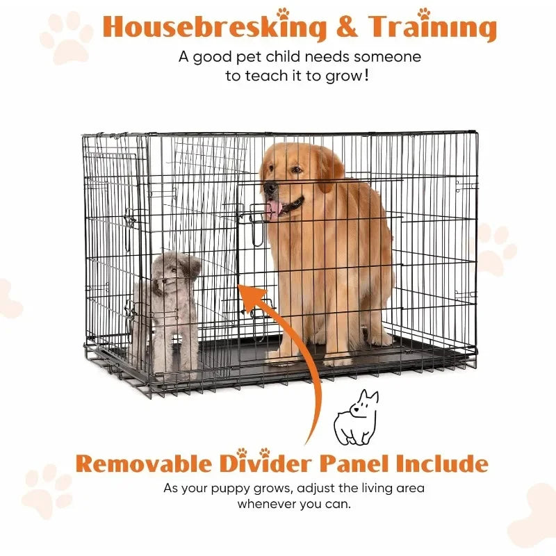 Double Door Folding Wire Dog Crate