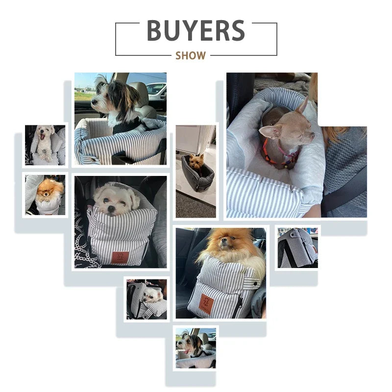 Portable Pet Carrier for Small Pets