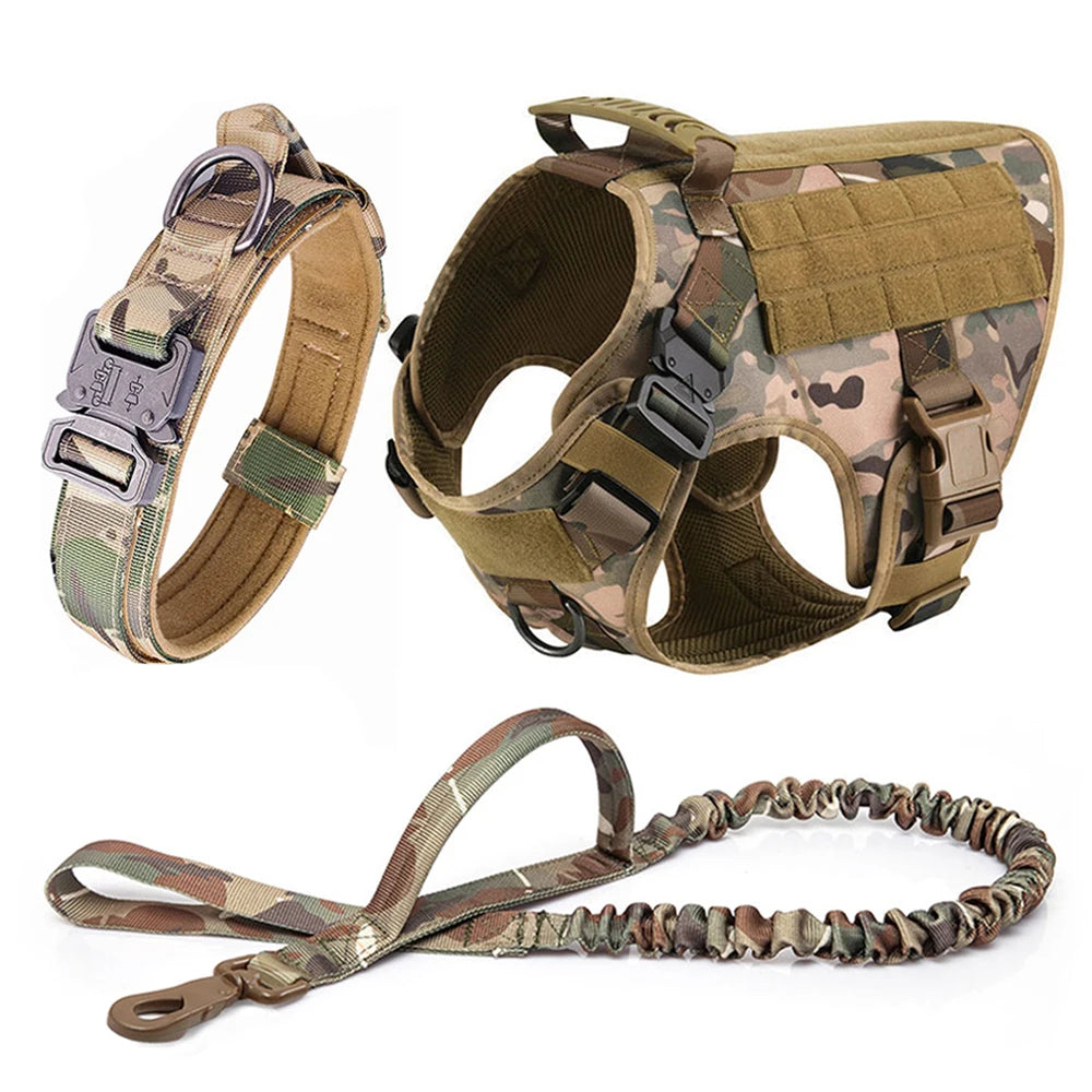 Large Dog Harness /Leash Set