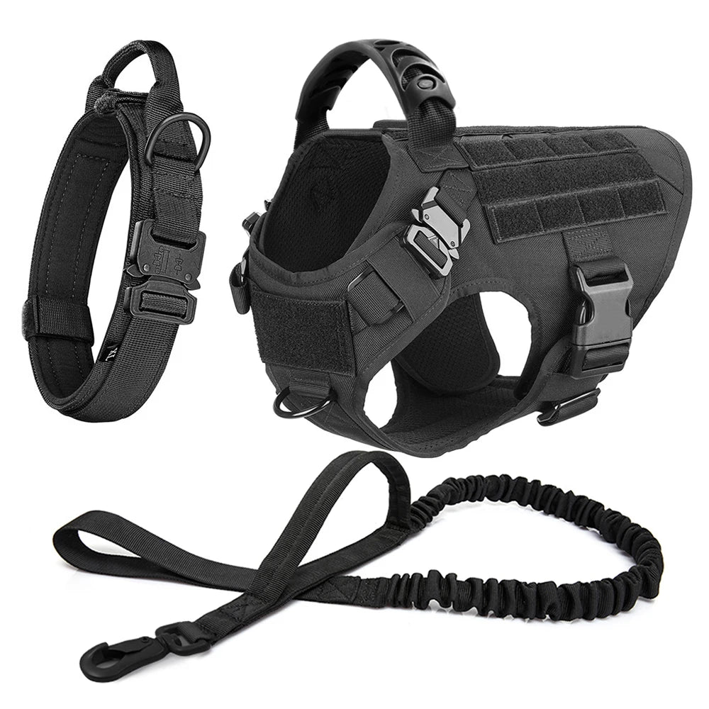 Large Dog Harness /Leash Set