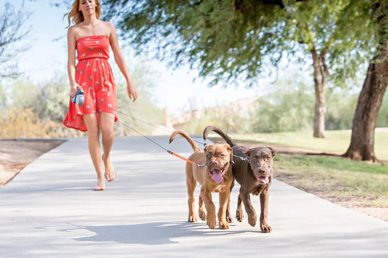 Retractable Dual Doggie Leash