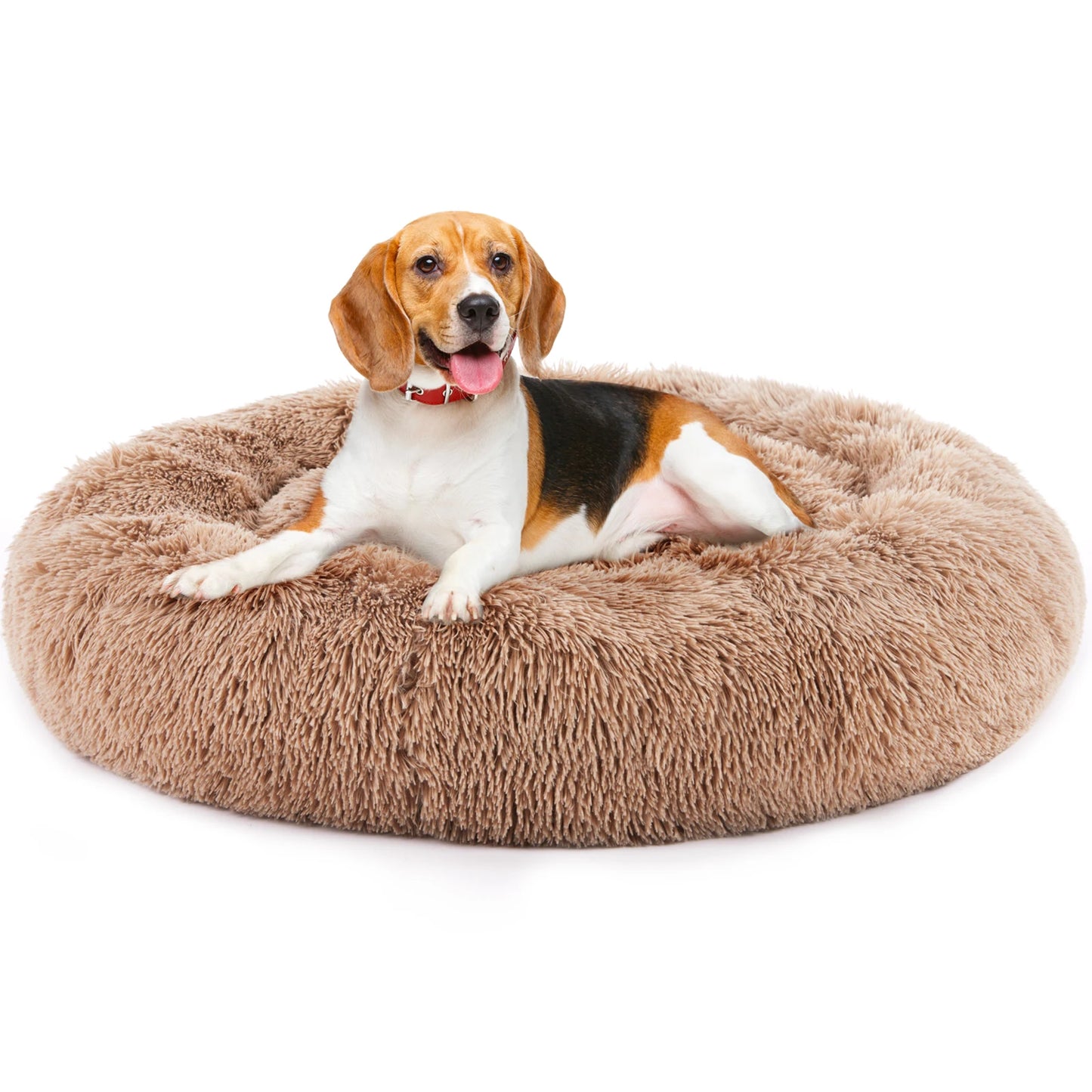 Calming Dog Bed for Small & Medium Dogs