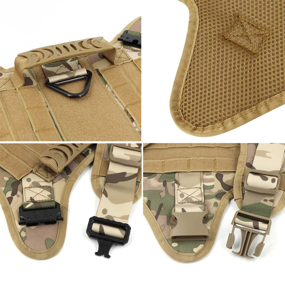 Large Dog Harness /Leash Set
