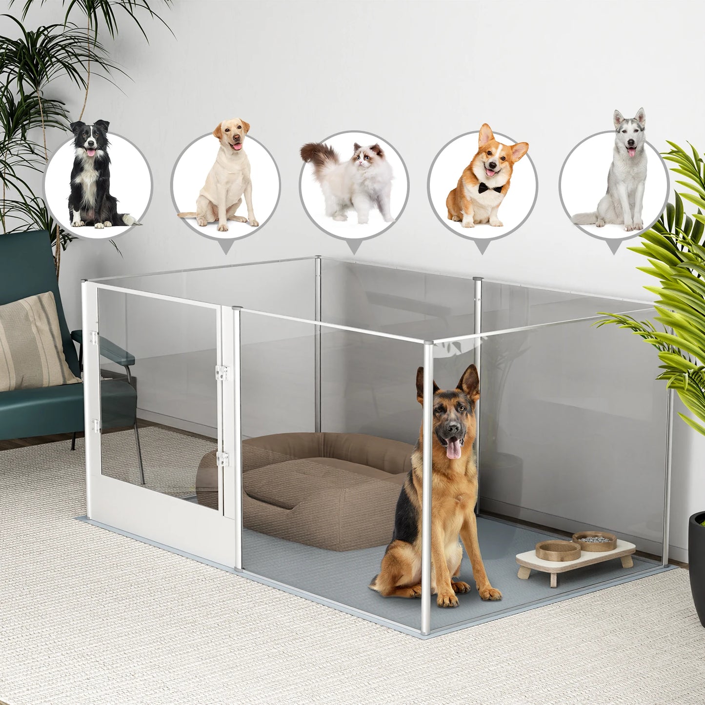 Acrylic Dog Playpen