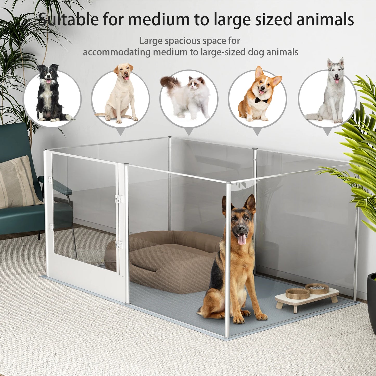 Acrylic Dog Playpen